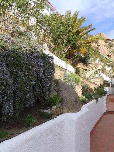 Ibiza 27