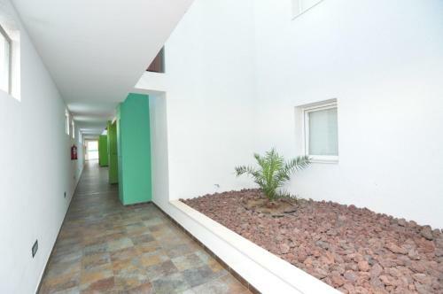 Apartamento Rnet - Portomar Ground Floor