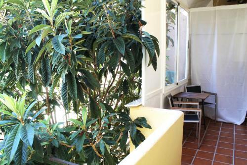 Hostal Alevia