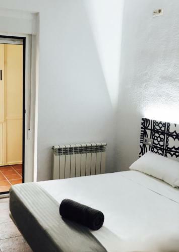 Hostal Alevia