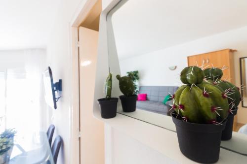 Apartamento Aries Luxe