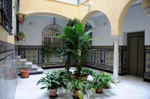 Apartamento Museo De Bellas Artes