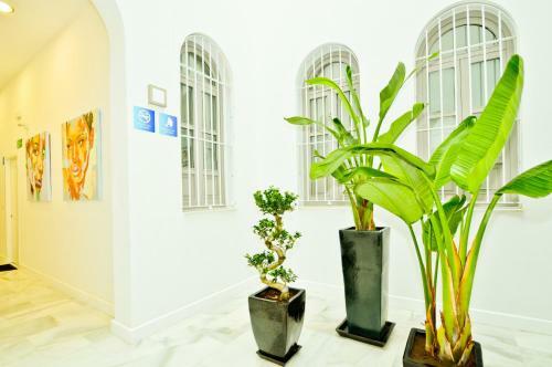 Apartamento Ninesuites