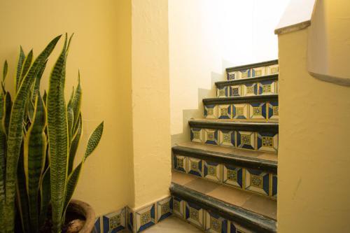 Apartamento Rincones Con Luz D�rsena