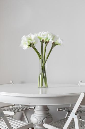 Apartamento Activa Vidrio