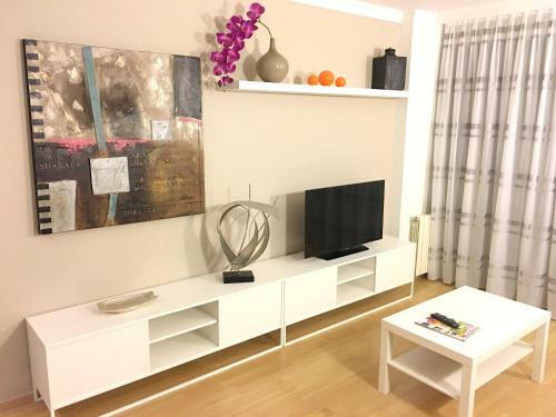 Apartment Carrer Dels Voluntaris