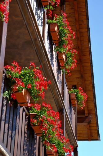 Apartamento Casa Montse