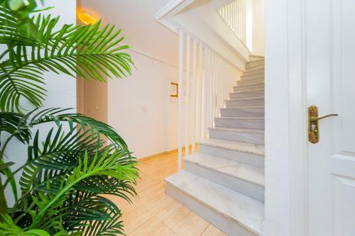 Apartamento Alegria Id115