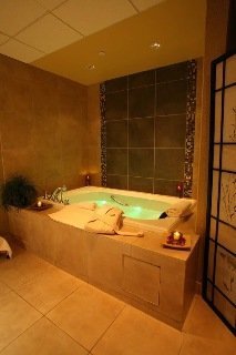 Hotel Embassy Suites Hampton Roads Va