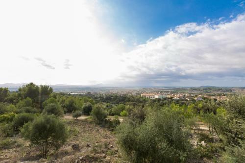 Villa Son Morey