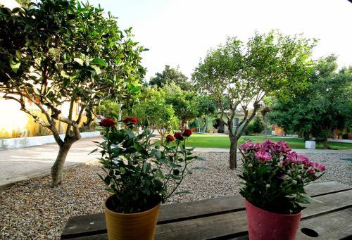 Agroturismo Casas El Camino