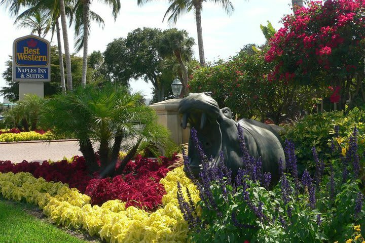 Hotel Best Western Naples Inn & Suites