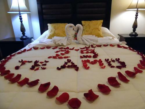 Hotel Los Andes Suite