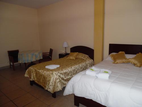 Hotel Los Andes Suite