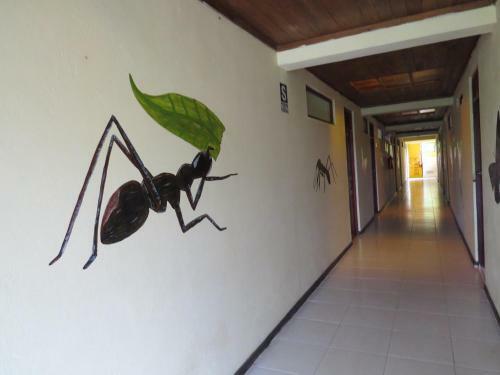 Paraiso Lodge