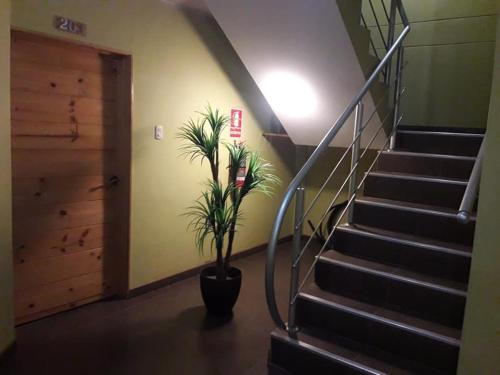 Hostal Hospedaje Sol & Arena