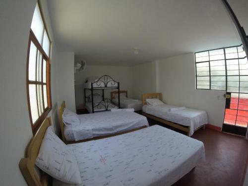 Albergue Mr. Llama Lodge