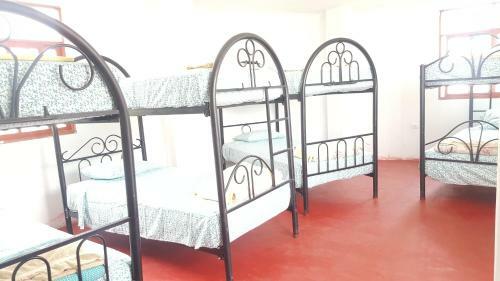 Albergue Mr. Llama Lodge