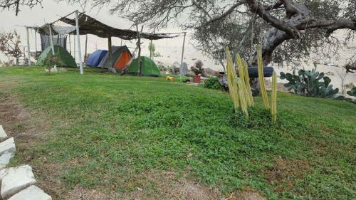 Posada Camping & Hospedaje Sol Y Dunas