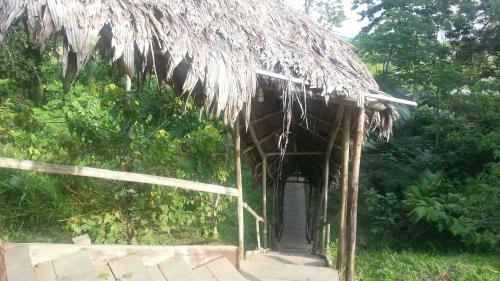 Lodge Amazonian Trails