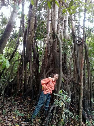 Lodge Friends Of The Amazon Jungle