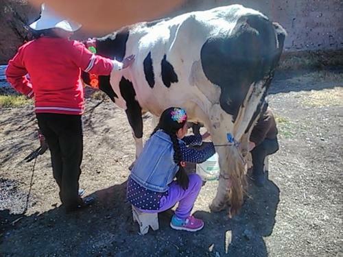 Agroturismo Pousada Villa Huaripampa