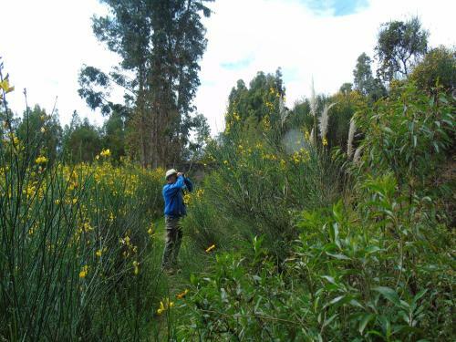 Agroturismo Pousada Villa Huaripampa