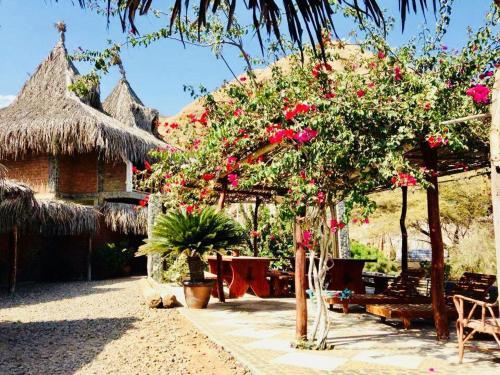 Ocean View Suites Mancora