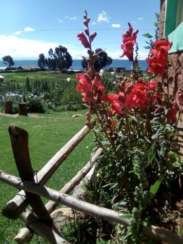 Agroturismo Luquina Homestay