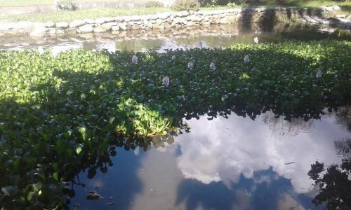 Agroturismo El Cacaotal