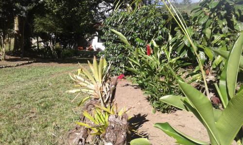 Agroturismo El Cacaotal