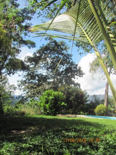 Agroturismo El Cacaotal