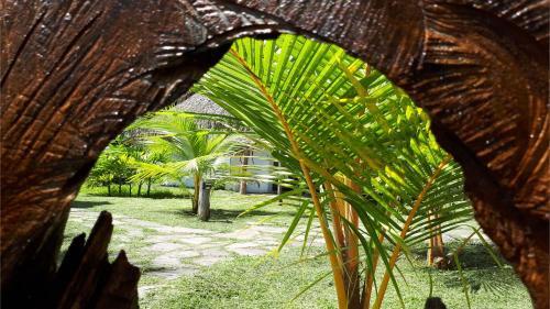 Hotel Coconut Tarapoto - Eco Bungalows & Lagoon Pool