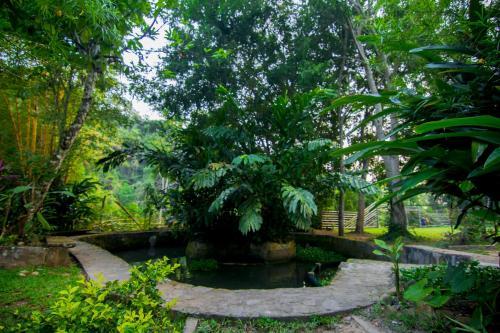 Ecolodge Yacuwasi