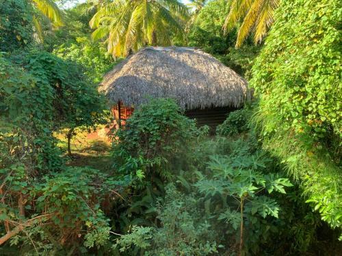 Bed & Breakfast Aventura Rincon Ecolodge