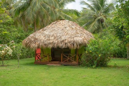 Bed & Breakfast Aventura Rincon Ecolodge