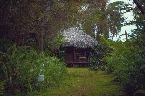 Bed & Breakfast Aventura Rincon Ecolodge