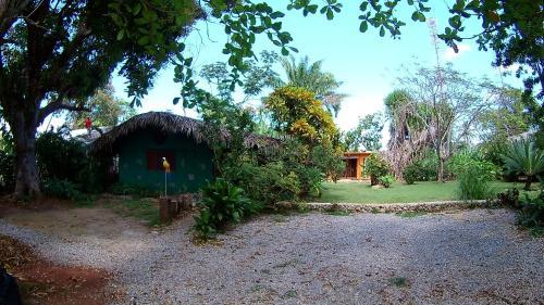 Hostal La Junglita