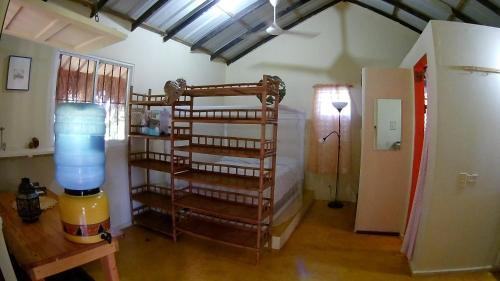 Hostal La Junglita