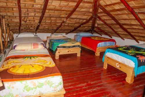 Hostel La Ballena Backpacker