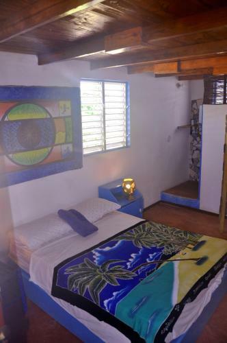 Hostel La Ballena Backpacker