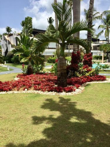 Apartamento Aligio Beachfront Paradise