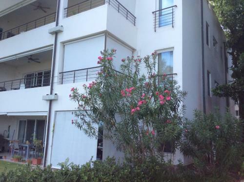 Apartamento Beach Front Infiniti Blu Condo