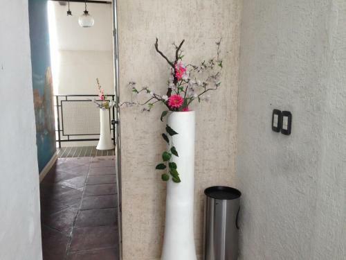Hotel Cocoyotla