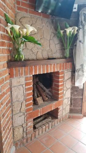 Lodge Caba�as Villa De San Miguel