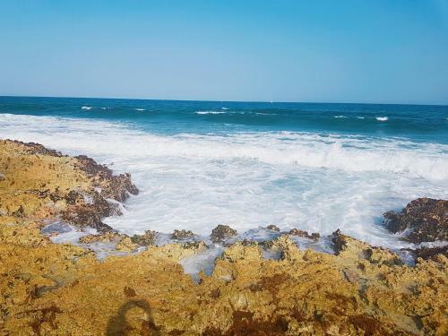 Bed & Breakfast Villa Susana - Beach Front House