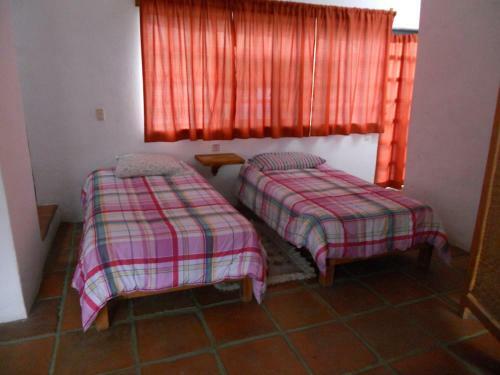 Agroturismo Ollin Calli Hostal-temazcal