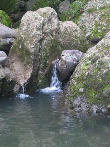 Agroturismo Ollin Calli Hostal-temazcal