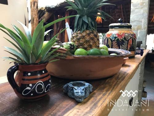 Indajani Hostel Tulum