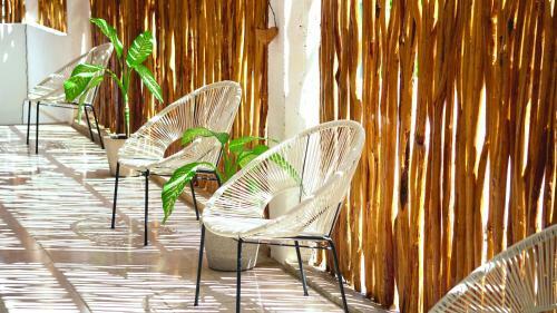Hostel Coelum